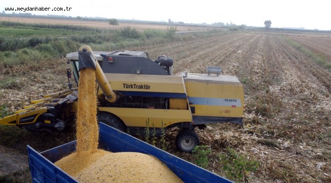 TARSUS BELEDİYESİ İLE TARIMSAL ARAŞTIRMA ENSTİTÜSÜ BİR HASADA DAHA İMZA ATTI