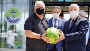 Vali Yıldırım Ergene'de Başkan Yüksel'den Vali Yıldırım'a meşhur Velimeşe karpuzu