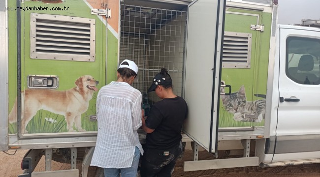 YAVRU PATİYE BAŞARILI OPERASYON