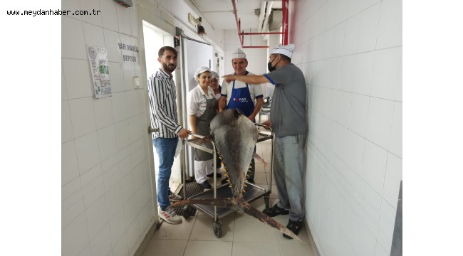 Balık sezonu sıkı denetimle başladı