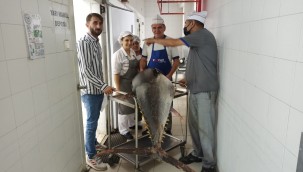 Balık sezonu sıkı denetimle başladı