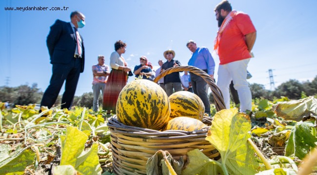 Çeşme kavunu tescillendi