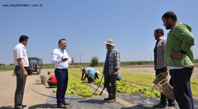 Eryılmaz'dan, Cumhur İttifakı'nın milletvekilleri ve il başkanlarına üzüm fiyatı çağrısı
