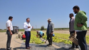 Eryılmaz'dan, Cumhur İttifakı'nın milletvekilleri ve il başkanlarına üzüm fiyatı çağrısı