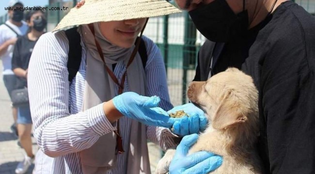 FARKLI ÜLKELERDEN GELEN ÖĞRENCİLER SİNCAN EKO- ÇİFTLİKTE SIFIR ATIK ÇALIŞMALARINA KATILDI, CAN DOSTLARIMIZ İÇİN MAMA ÜRETTİ