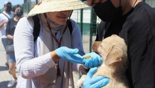 FARKLI ÜLKELERDEN GELEN ÖĞRENCİLER SİNCAN EKO- ÇİFTLİKTE SIFIR ATIK ÇALIŞMALARINA KATILDI, CAN DOSTLARIMIZ İÇİN MAMA ÜRETTİ