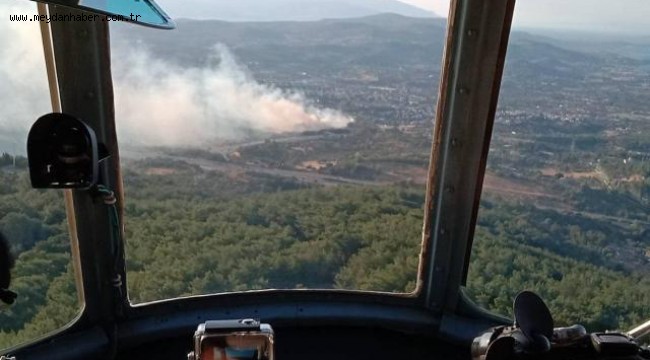 İzmir'de ağaçlık alanda çıkan yangın kontrol altına alındı