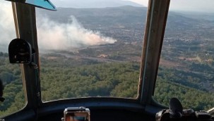 İzmir'de ağaçlık alanda çıkan yangın kontrol altına alındı