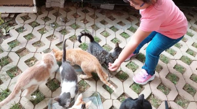 Kreşli Minikler, Sevimli Dostlar İçin Mama Dağıttı