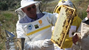 Odunpazarı'na bir ödül de Sağlıklı Kentler Birliği'nden