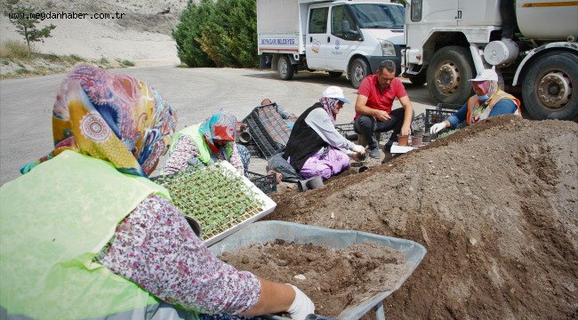 Seralarda Kışa Hazırlık Çalışmaları