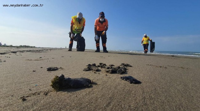 SURİYE'DEN DENİZE SIZAN PETROL, MERSİN SAHİLLERİNE ULAŞTI