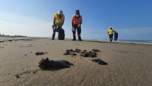 SURİYE'DEN DENİZE SIZAN PETROL, MERSİN SAHİLLERİNE ULAŞTI