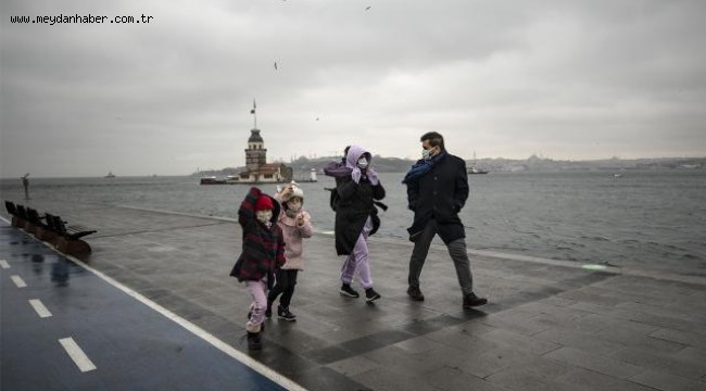 ABD'de kuru soğan nedeniyle 650 kişi salmonella oldu