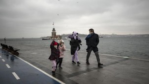 ABD'de kuru soğan nedeniyle 650 kişi salmonella oldu