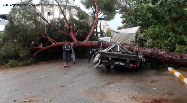 Aydın'da fırtına: 7 kişi yaralandı, 17 araçta hasar oluştu
