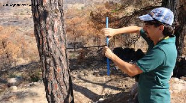 BODRUM'DA YANAN ALANLAR ESKİ KİMLİĞİNE KAVUŞACAK