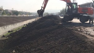 -- Büyükşehir yeşil alanları düzenliyor