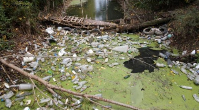 Edirne'deki dere çöplüğe döndü