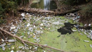 Edirne'deki dere çöplüğe döndü