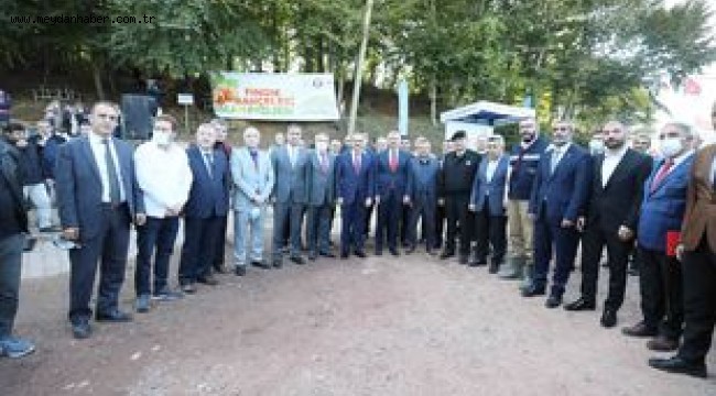 Fındık Bahçelerinde Islah Projesi ile yüzde 30 artış hedefleniyor