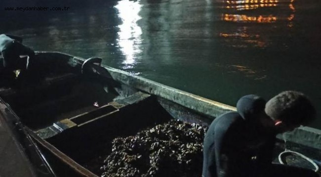 İzmit Körfezi'nde yasa dışı avlanan midyeler denize bırakıldı