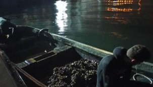 İzmit Körfezi'nde yasa dışı avlanan midyeler denize bırakıldı