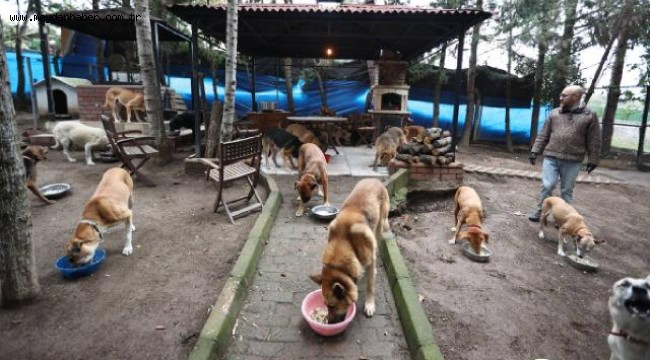 Sokaktan kurtardığı hayvanlar rahat yaşasın diye köye taşındı