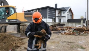 Sondaj çukuruna düşen yavru köpek kurtarıldı