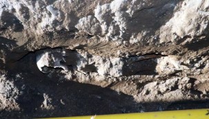 Su şebekesi kazısında insan iskeleti çıktı