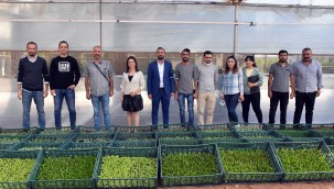 TARSUSLU ÖĞRETMEN GÖREV YAPTIĞI OKUL İÇİN FİDE TALEP ETTİ, TARSUS BELEDİYESİ 20 BİN FİDE GÖNDERDİ