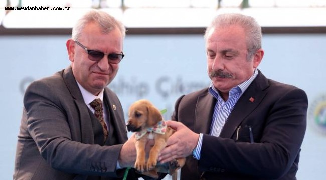 TBMM Başkanı Şentop: Bir canı sahiplendiğiniz zaman sorumluluğun farkında olun