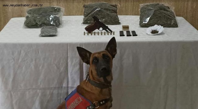 Trabzon'da uyuşturucu operasyonu: 2 gözaltı