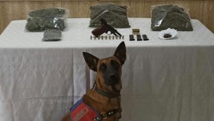 Trabzon'da uyuşturucu operasyonu: 2 gözaltı