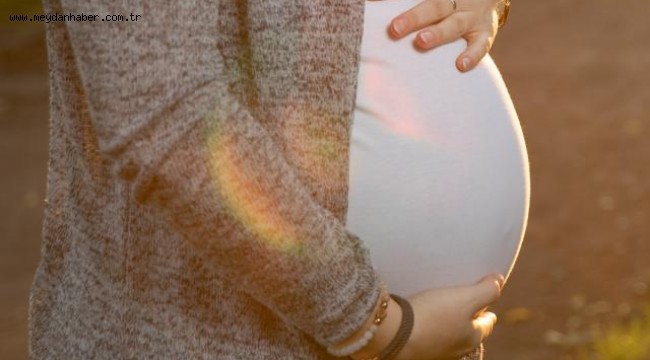 Virüse yakalanan hamile kadın bebeğiyle vefat etti