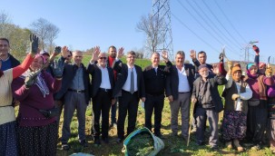 700 dekardan 150 ton biberiye toplandı