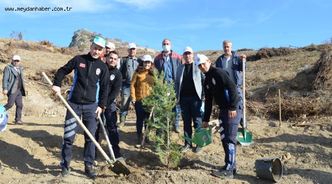 Ahmetli'de Geleceğe Nefes İçin 2 Bin Fidan Toprakla Buluştu
