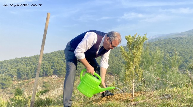 BİNLERCE FİDAN YUNUSEMRE'DE TOPRAKLA BULUŞACAK