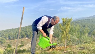 BİNLERCE FİDAN YUNUSEMRE'DE TOPRAKLA BULUŞACAK