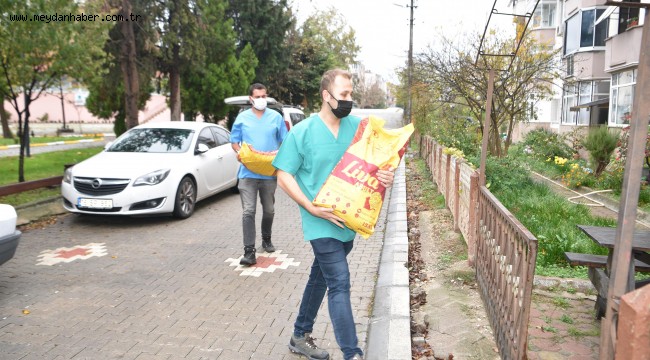 Bir mektupla onlarca kediyi doyurdu Bir günde çifte mutluluk