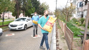 Bir mektupla onlarca kediyi doyurdu Bir günde çifte mutluluk