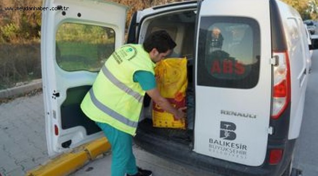 --- Büyükşehir, hayvansever çocukların yüzünü güldürdü --- Büyükşehir, yılbaşından bu yana 30 ton mama kullandı