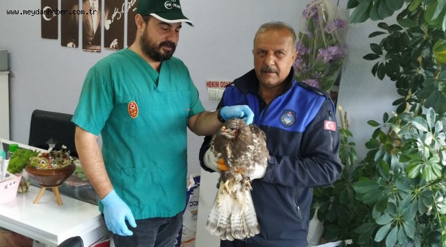 FIRTINA MAĞDURU ŞAHİNİ ZABITA KURTARDI