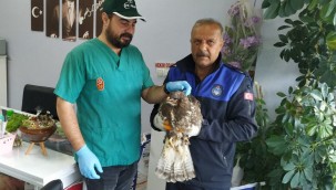 FIRTINA MAĞDURU ŞAHİNİ ZABITA KURTARDI