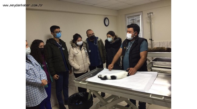 Geçici Hayvan Bakımevi Veterinerlik öğrencilerini ağırladı