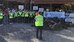 Gökova Körfezi Akbük ve Turnalı'da Kıyı Temizliği