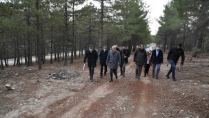 Isparta'da 110 bin metrekarelik alanda Millet Ormanı kuruluyor