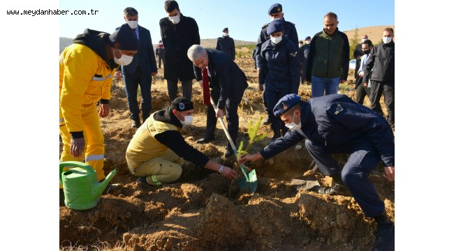 Jandarma Şehitler Ormanına Fidan Dikildi