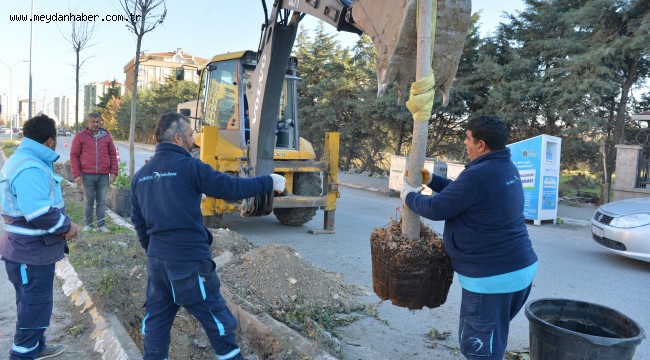 KENT AĞAÇLANDIRMA ÇALIŞMALARI DEVAM EDİYOR