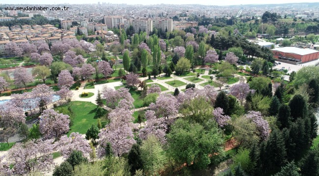 - ŞAHİN: SEZAİ KARAKOÇ'UN ANISI GAZİANTEP'TE TASARLANACAK EDEBİYAT PARKIYLA YAŞATILACAK!